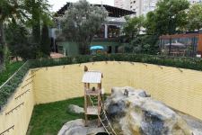President Ilham Aliyev and First Lady Mehriban Aliyeva attend inauguration of Baku Zoological Park after reconstruction (PHOTO)