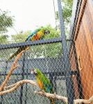 President Ilham Aliyev and First Lady Mehriban Aliyeva attend inauguration of Baku Zoological Park after reconstruction (PHOTO)