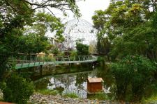 President Ilham Aliyev and First Lady Mehriban Aliyeva attend inauguration of Baku Zoological Park after reconstruction (PHOTO)