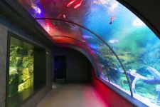 President Ilham Aliyev and First Lady Mehriban Aliyeva attend inauguration of Baku Zoological Park after reconstruction (PHOTO)