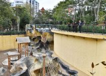 President Ilham Aliyev and First Lady Mehriban Aliyeva attend inauguration of Baku Zoological Park after reconstruction (PHOTO)