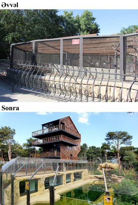 President Ilham Aliyev and First Lady Mehriban Aliyeva attend inauguration of Baku Zoological Park after reconstruction (PHOTO)