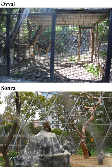 President Ilham Aliyev and First Lady Mehriban Aliyeva attend inauguration of Baku Zoological Park after reconstruction (PHOTO)