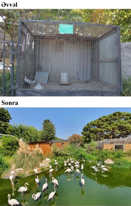 President Ilham Aliyev and First Lady Mehriban Aliyeva attend inauguration of Baku Zoological Park after reconstruction (PHOTO)