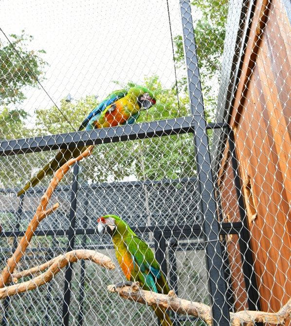 President Ilham Aliyev and First Lady Mehriban Aliyeva attend inauguration of Baku Zoological Park after reconstruction (PHOTO)