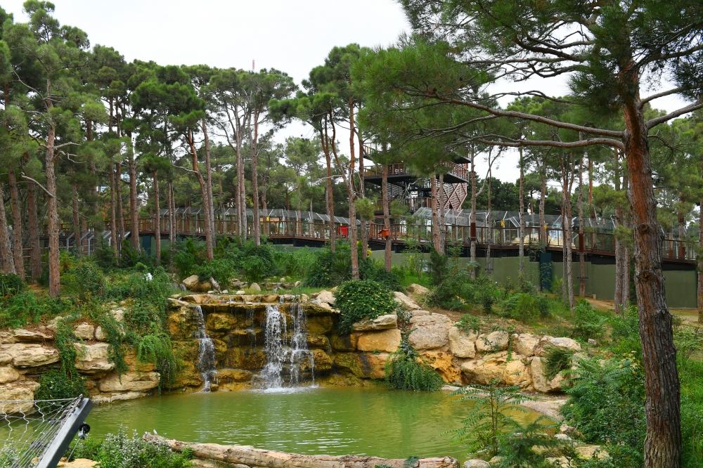 President Ilham Aliyev and First Lady Mehriban Aliyeva attend inauguration of Baku Zoological Park after reconstruction (PHOTO)