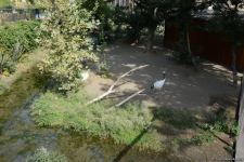 Первыми посетителями Бакинского зоопарка стали дети шехидов и воспитанники детдомов (ФОТО)