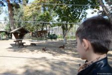 Первыми посетителями Бакинского зоопарка стали дети шехидов и воспитанники детдомов (ФОТО)