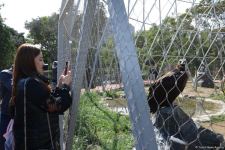 Первыми посетителями Бакинского зоопарка стали дети шехидов и воспитанники детдомов (ФОТО)