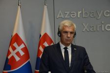 В Баку прошла совместная пресс-конференция глав МИД Азербайджана и Словакии (ФОТО/ВИДЕО)