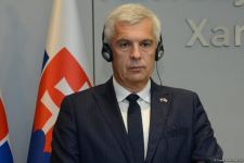В Баку прошла совместная пресс-конференция глав МИД Азербайджана и Словакии (ФОТО/ВИДЕО)