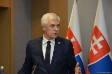В Баку прошла совместная пресс-конференция глав МИД Азербайджана и Словакии (ФОТО/ВИДЕО)