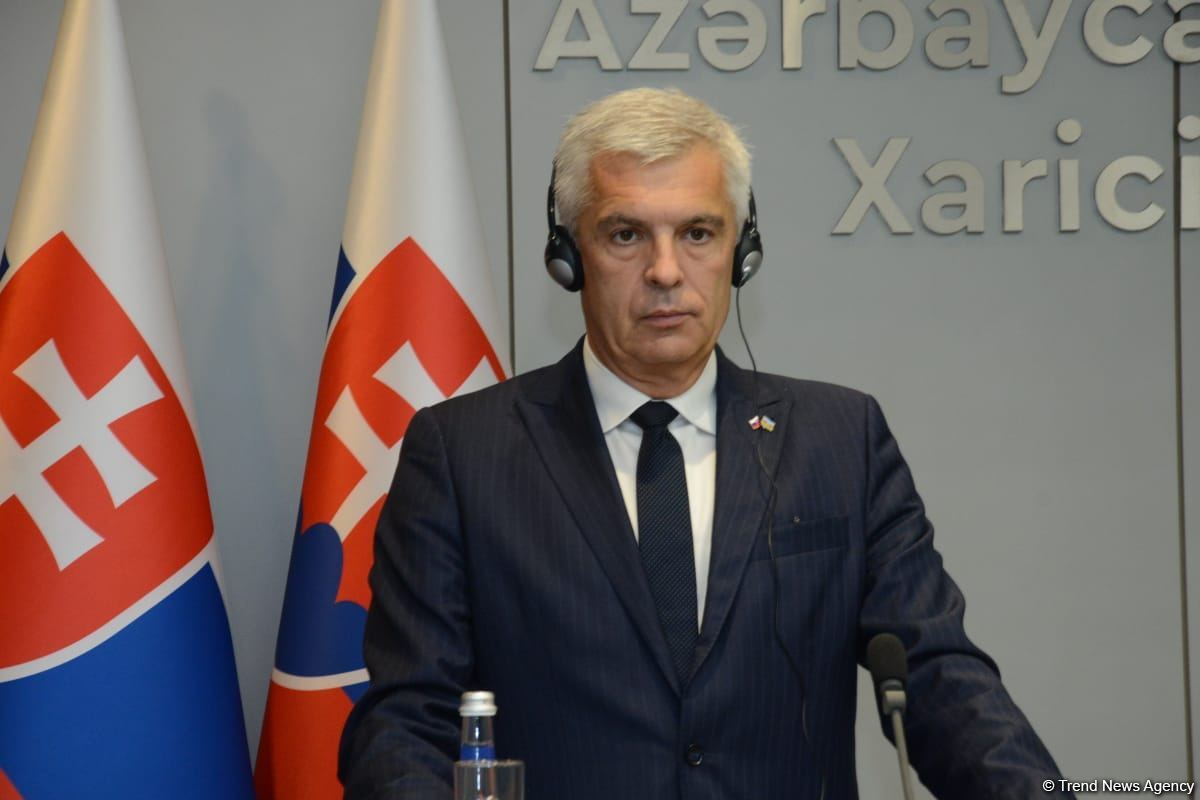 В Баку прошла совместная пресс-конференция глав МИД Азербайджана и Словакии (ФОТО/ВИДЕО)