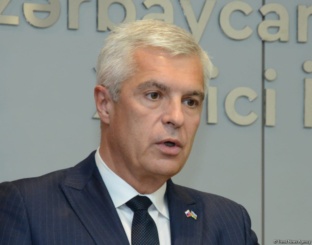 В Баку прошла совместная пресс-конференция глав МИД Азербайджана и Словакии (ФОТО/ВИДЕО)