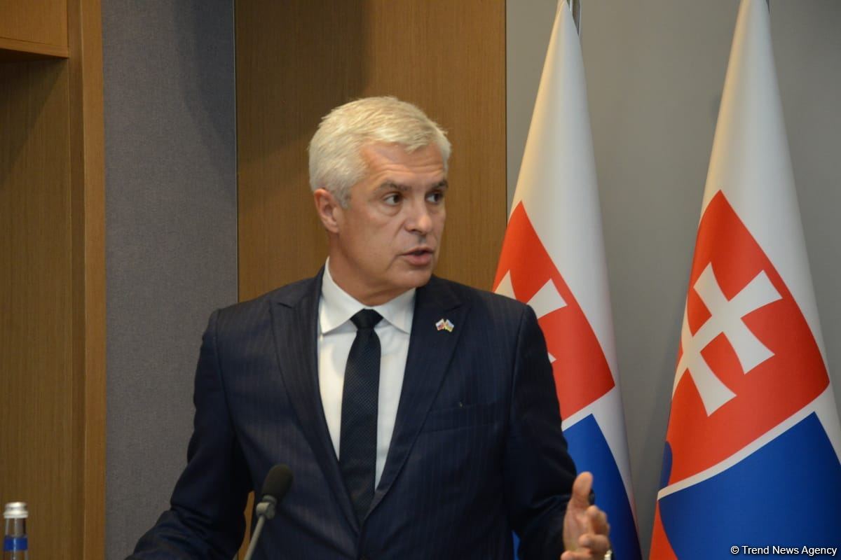 В Баку прошла совместная пресс-конференция глав МИД Азербайджана и Словакии (ФОТО/ВИДЕО)