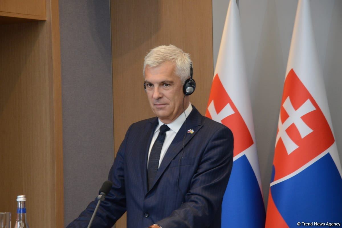 В Баку прошла совместная пресс-конференция глав МИД Азербайджана и Словакии (ФОТО/ВИДЕО)