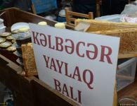 На пчеловодческую выставку в Баку доставлен мед из Кяльбаджара и Лачина (ФОТО)