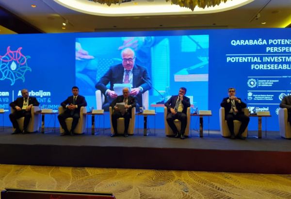 Businessmen in Karabakh to be exempt from certain taxes, fees - ministry (PHOTO)