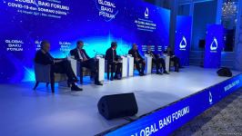 Second panel within VIII Global Baku Forum under motto "The world after COVID-19” starts (PHOTO)