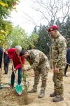 Общество охраны природы, члены семей шехидов и гази Отечественной войны провели акцию в честь Дня Победы (ФОТО)