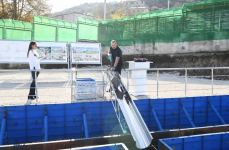 President Ilham Aliyev, First Lady lay foundation of Shusha District Central Hospital (PHOTO/VIDEO)