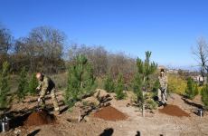 President Ilham Aliyev, First Lady Mehriban Aliyeva plant trees on Jidir Duzu, restoration of Topkhana forest in Shusha launched (PHOTO/VIDEO)