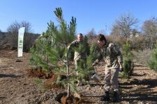 President Ilham Aliyev, First Lady Mehriban Aliyeva plant trees on Jidir Duzu, restoration of Topkhana forest in Shusha launched (PHOTO/VIDEO)