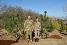 President Ilham Aliyev, First Lady Mehriban Aliyeva plant trees on Jidir Duzu, restoration of Topkhana forest in Shusha launched (PHOTO/VIDEO)