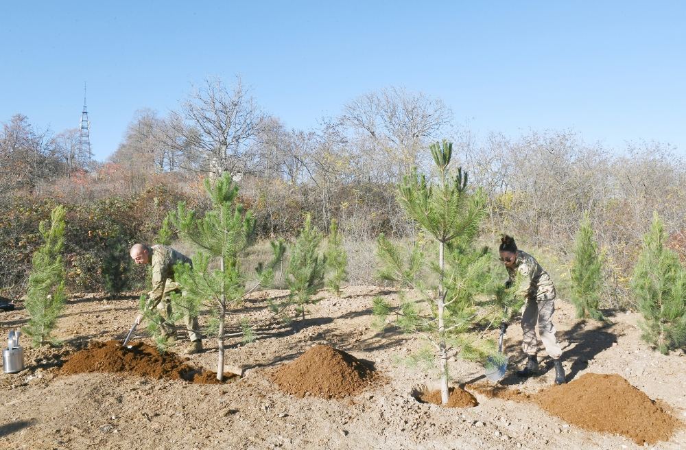 President Ilham Aliyev, First Lady Mehriban Aliyeva plant trees on Jidir Duzu, restoration of Topkhana forest in Shusha launched (PHOTO/VIDEO)