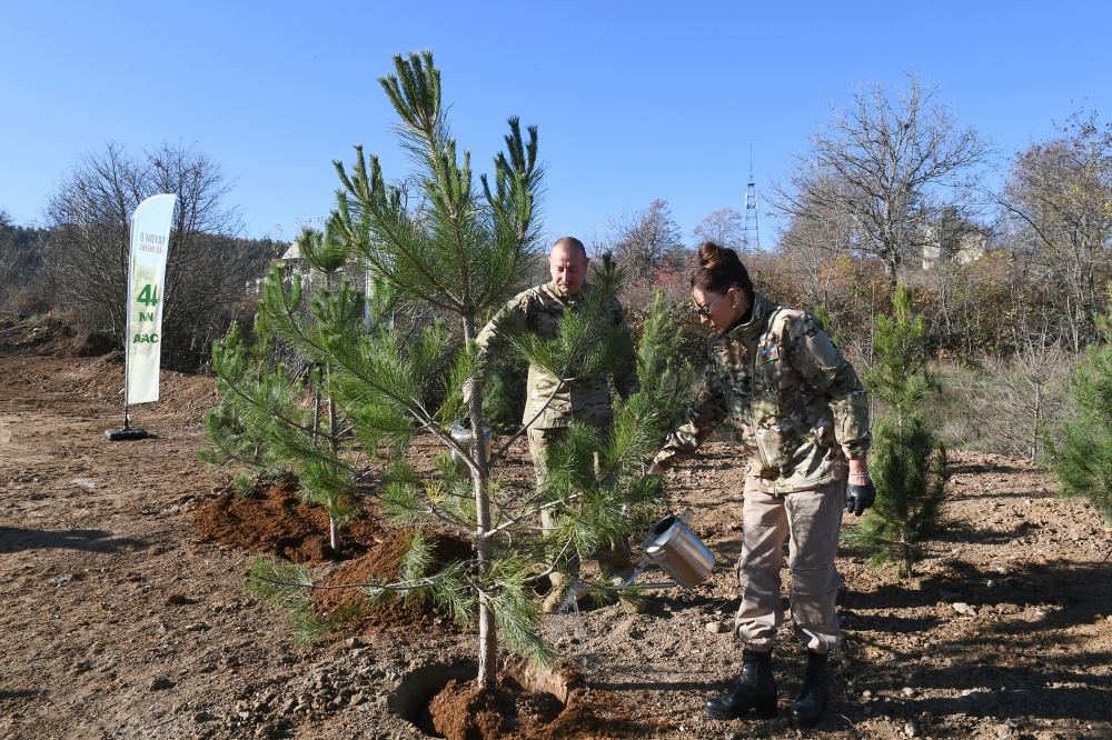 President Ilham Aliyev, First Lady Mehriban Aliyeva plant trees on Jidir Duzu, restoration of Topkhana forest in Shusha launched (PHOTO/VIDEO)