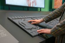 Эрмитаж и Азербайджанский музей ковра представили уникальную инклюзивную экспозицию в Санкт-Петербурге (ФОТО/ВИДЕО)