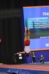 Final day of 35th FIG Trampoline Gymnastics World Championships starts in Baku (PHOTO)
