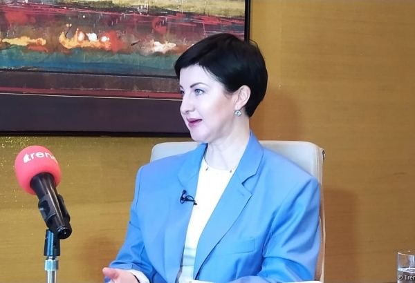 Developing contactless payments to help further digitalize Azerbaijan's economy - VISA