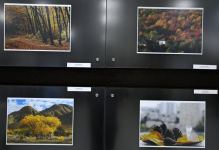 В Баку открылась фотовыставка и прошла церемония награждения конкурса "Золотая осень" (ФОТО)