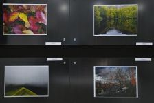 В Баку открылась фотовыставка и прошла церемония награждения конкурса "Золотая осень" (ФОТО)