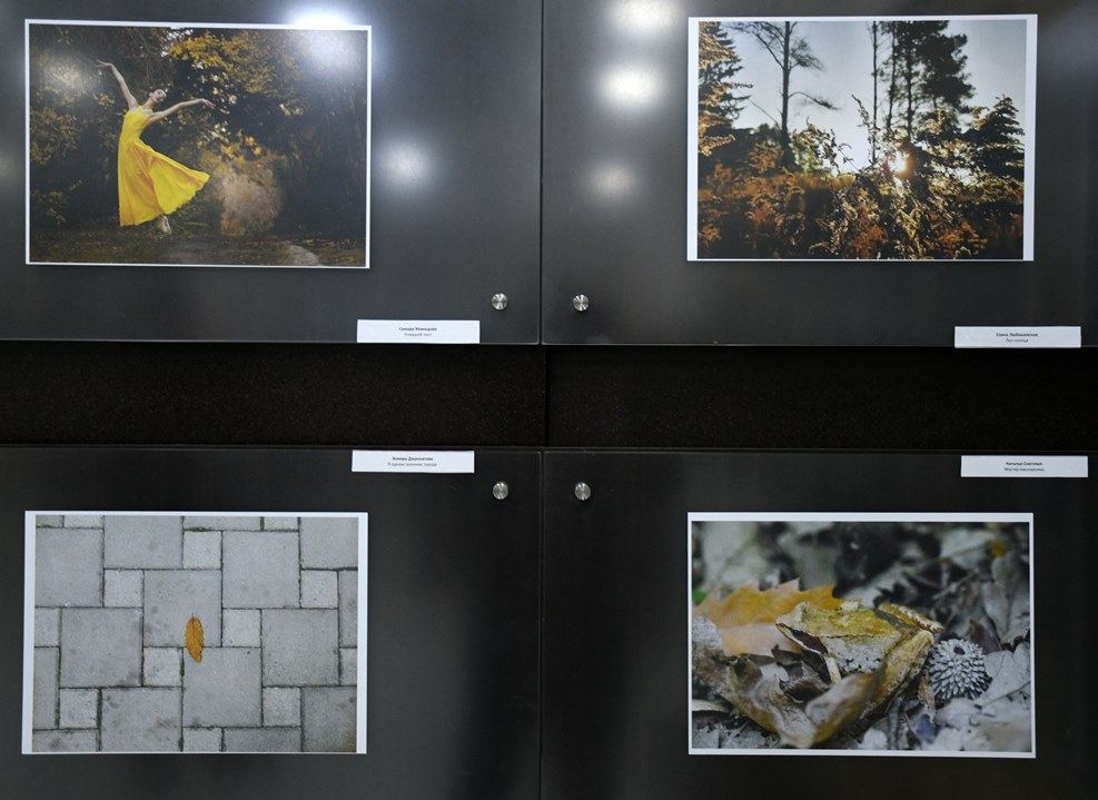 В Баку открылась фотовыставка и прошла церемония награждения конкурса "Золотая осень" (ФОТО)