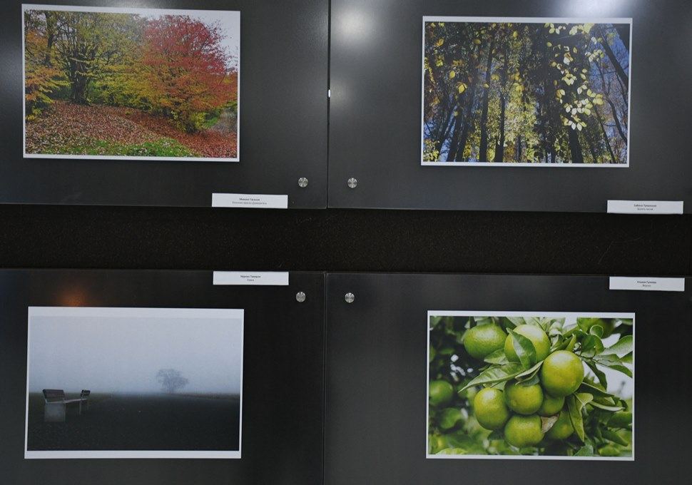 В Баку открылась фотовыставка и прошла церемония награждения конкурса "Золотая осень" (ФОТО)