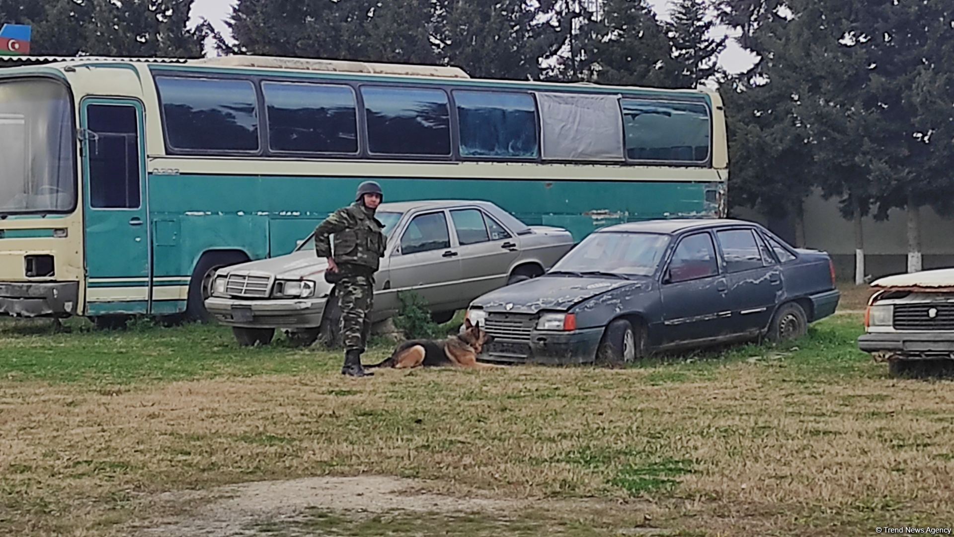 К разминированию освобожденных территорий Азербайджана привлечены специально обученные собаки (ФОТО/ВИДЕО)