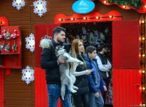 Фоторепортаж с благотворительной ярмарки в Баку  "Холодные руки, горячее сердце" (ФОТО)