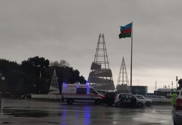 В Баку устанавливают новогодние елки (ФОТО)