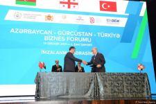 Azerbaijan, Georgia, Turkey sign memorandums, agreements in Baku (PHOTO)