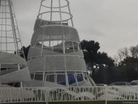 В Баку устанавливают новогодние елки (ФОТО)