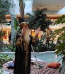 Красота уникальной природы в гармонии с поэзией Низами - удивительное рядом в поселке Зиря (ФОТО)