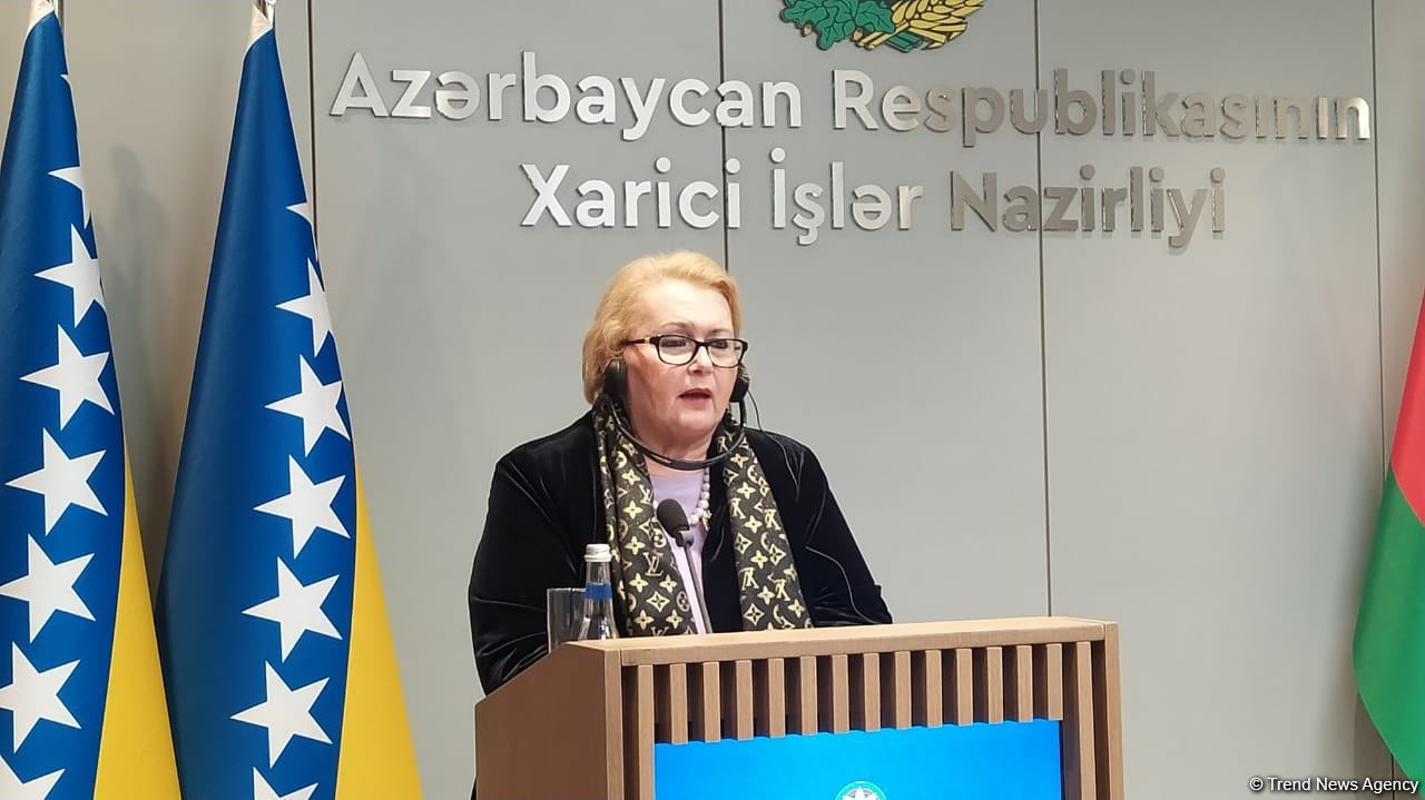 Босния и Герцеговина благодарна Азербайджану за поддержку в борьбе с COVID-19 – Бисера Туркович
