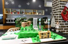 First Vice-President Mehriban Aliyeva viewed conditions created at Autism Center constructed by Heydar Aliyev Foundation (PHOTO/VIDEO)