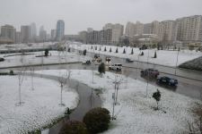 Фоторепортаж из заснеженного Баку