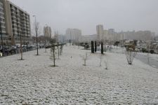Фоторепортаж из заснеженного Баку