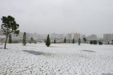Фоторепортаж из заснеженного Баку