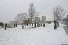 Фоторепортаж из заснеженного Баку