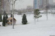 Фоторепортаж из заснеженного Баку